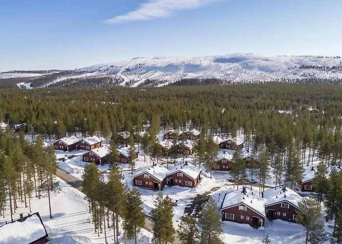 Villiporo Nulppotie 3 3b, Levi